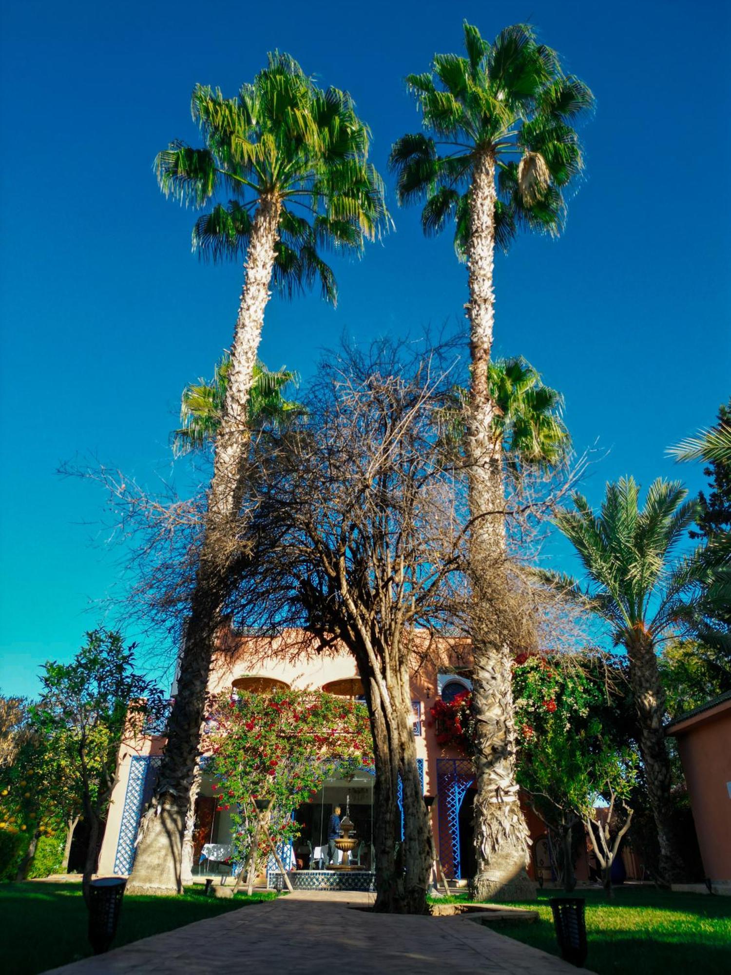 Douar Caïd Layadi Riad Redwan מראה חיצוני תמונה